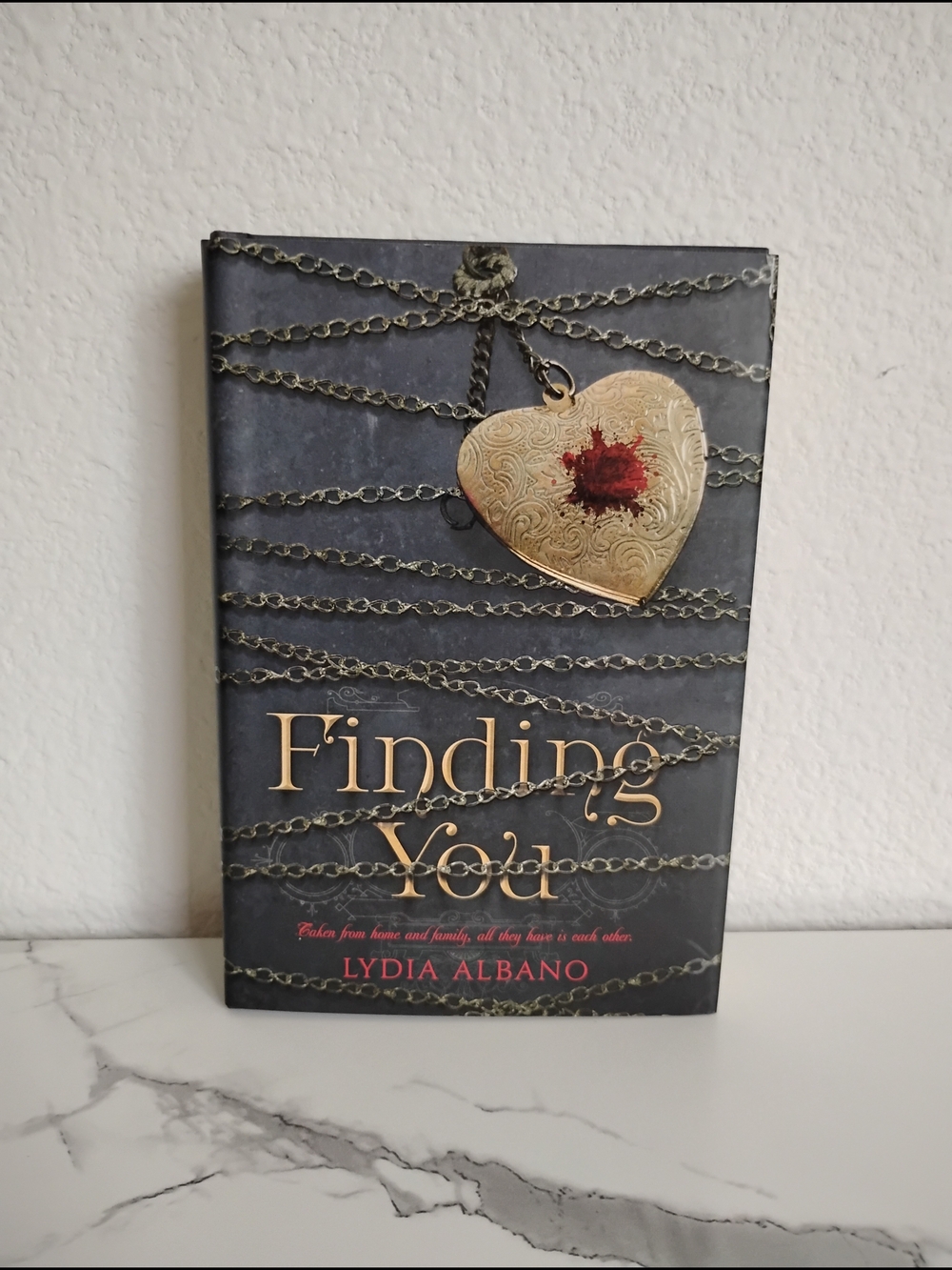 "Finding You" Book - Picture 1 of 12